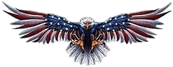 MFX Design Flying Eagle women motorcycle decal