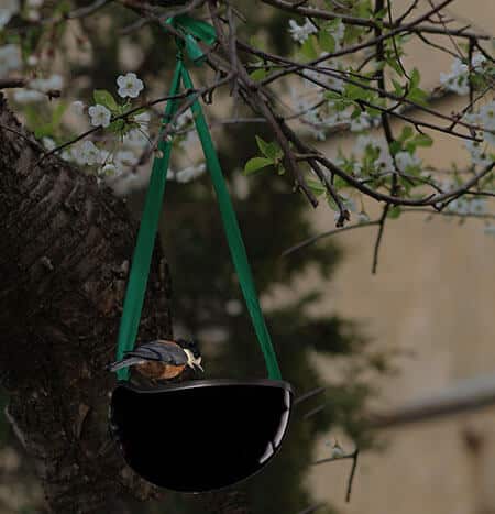 bird feeder made from old motorcycle helmet